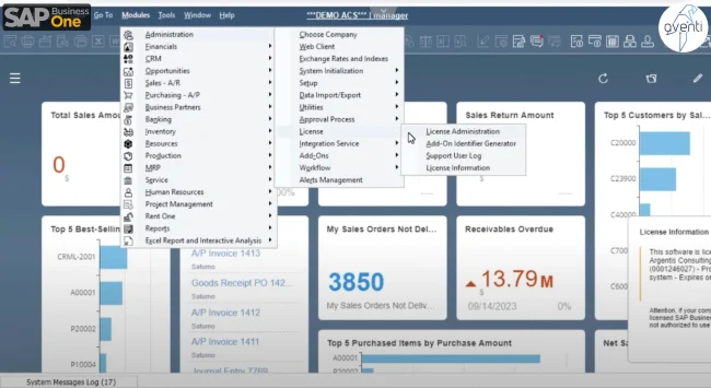 Activar Licencias SAP B1