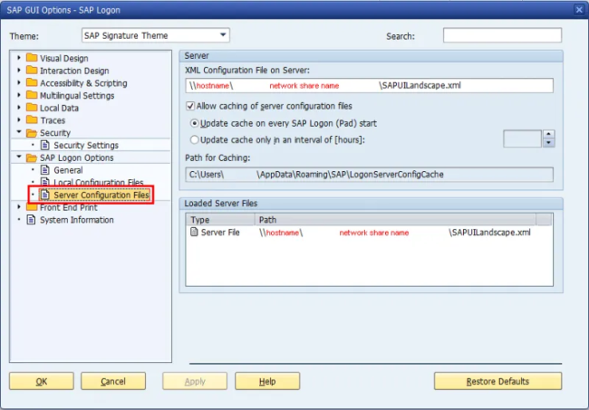 SAPGUIOptions opciones para gui