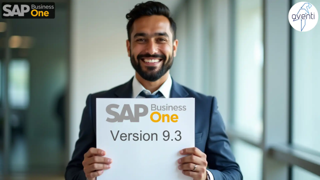 SAP Business One 9.3 PDF Manual de descarga gratis 2025